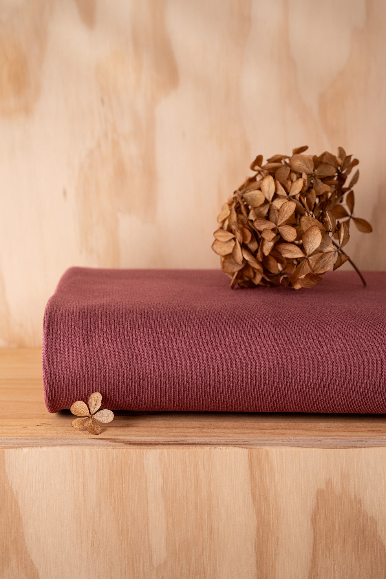 Sweat molleton en coton BIO - Rosewood