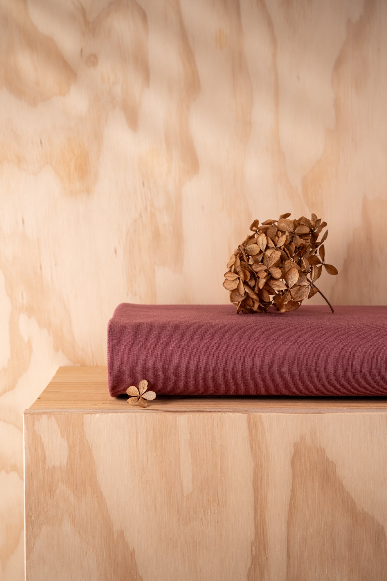Sweat molleton en coton BIO - Rosewood
