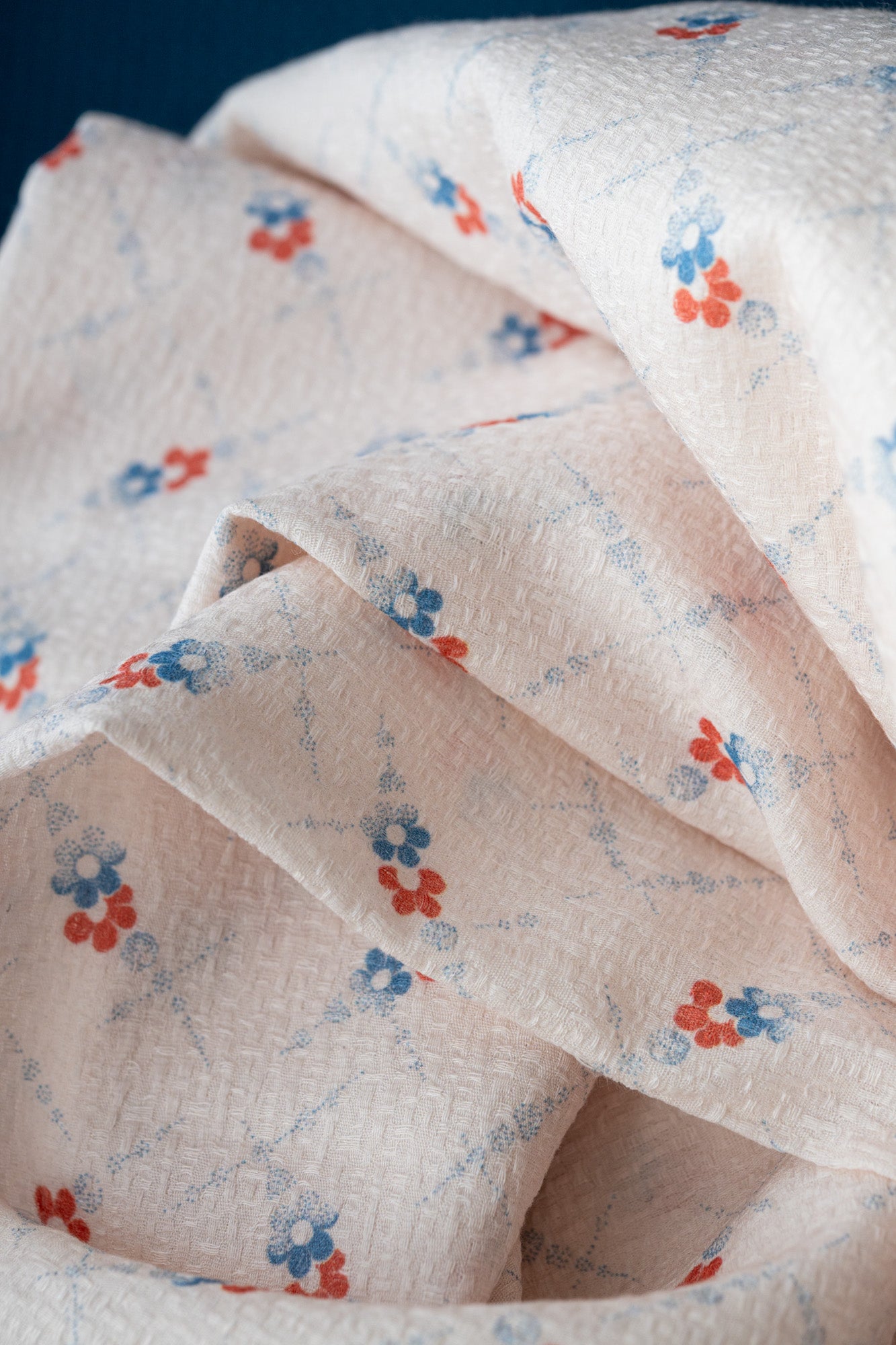 Coton fleuri "Stéphane"