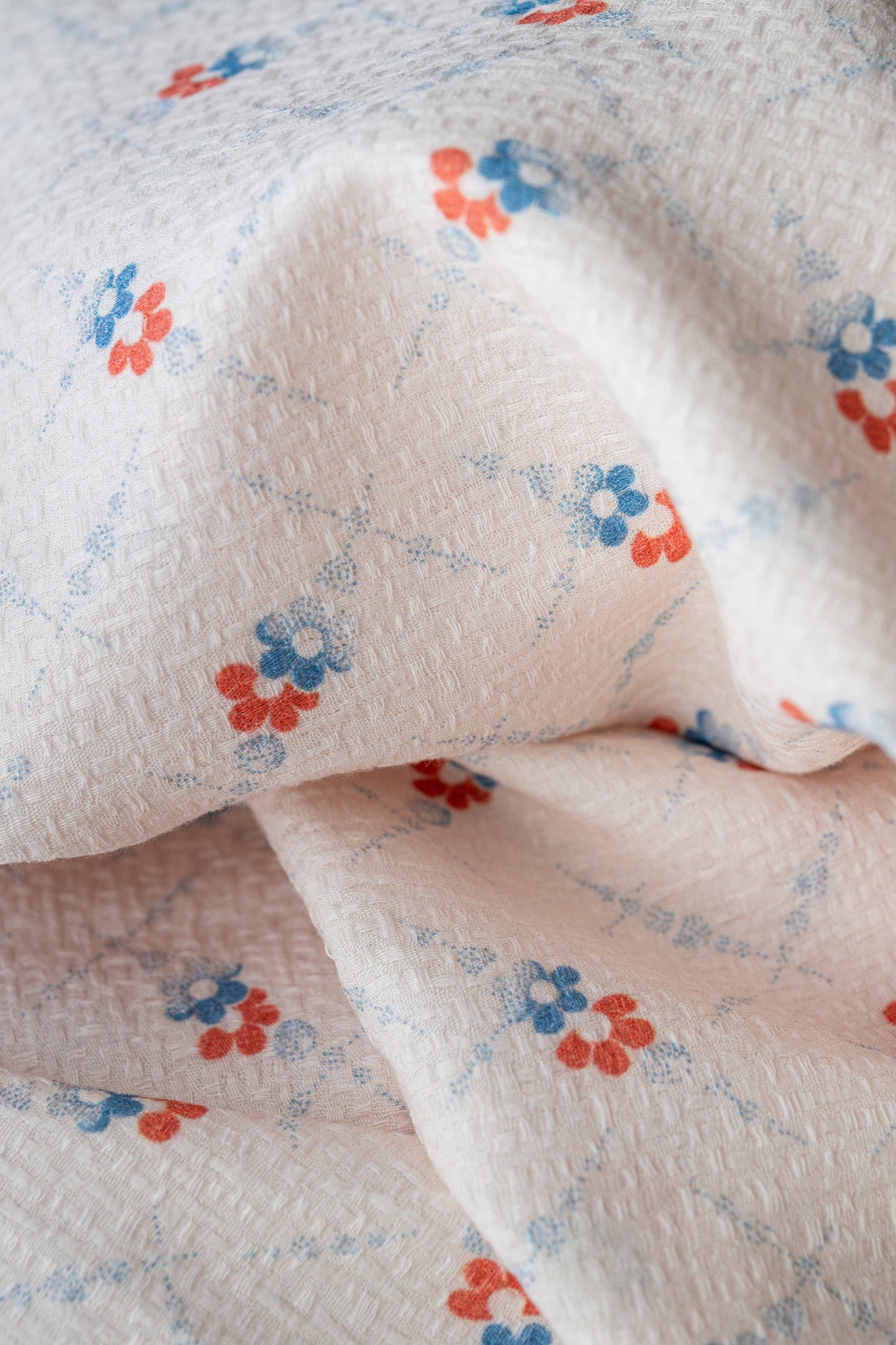 Coton fleuri "Stéphane"